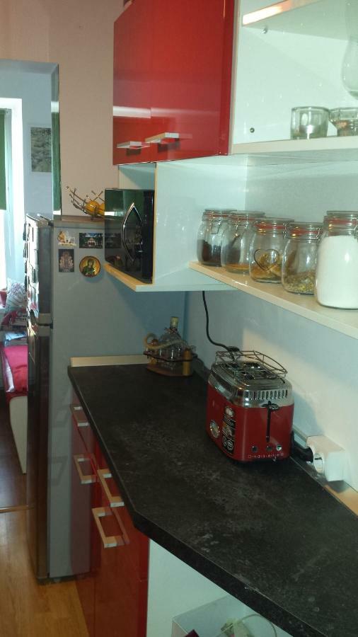 Sfanta Ecaterina - Garsoniera Alba Iulia Apartment Bagian luar foto